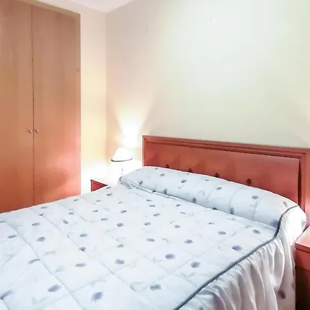 Pet Friendly In Apartment *